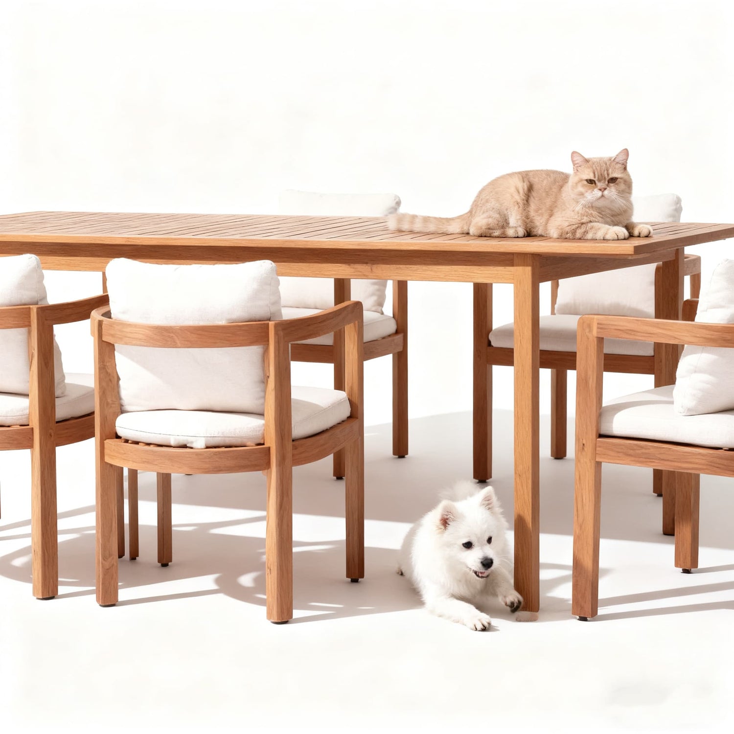 What's the Pet-Friendly Outdoor Furniture
