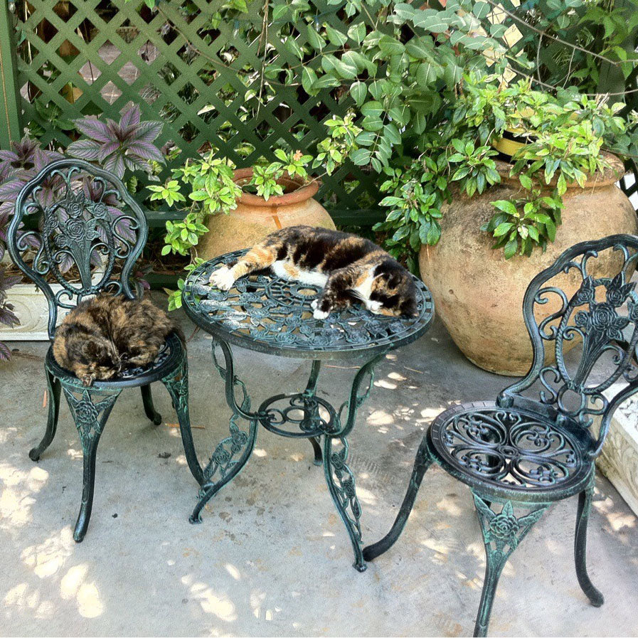 How To Keep Cats Off Outdoor Furniture